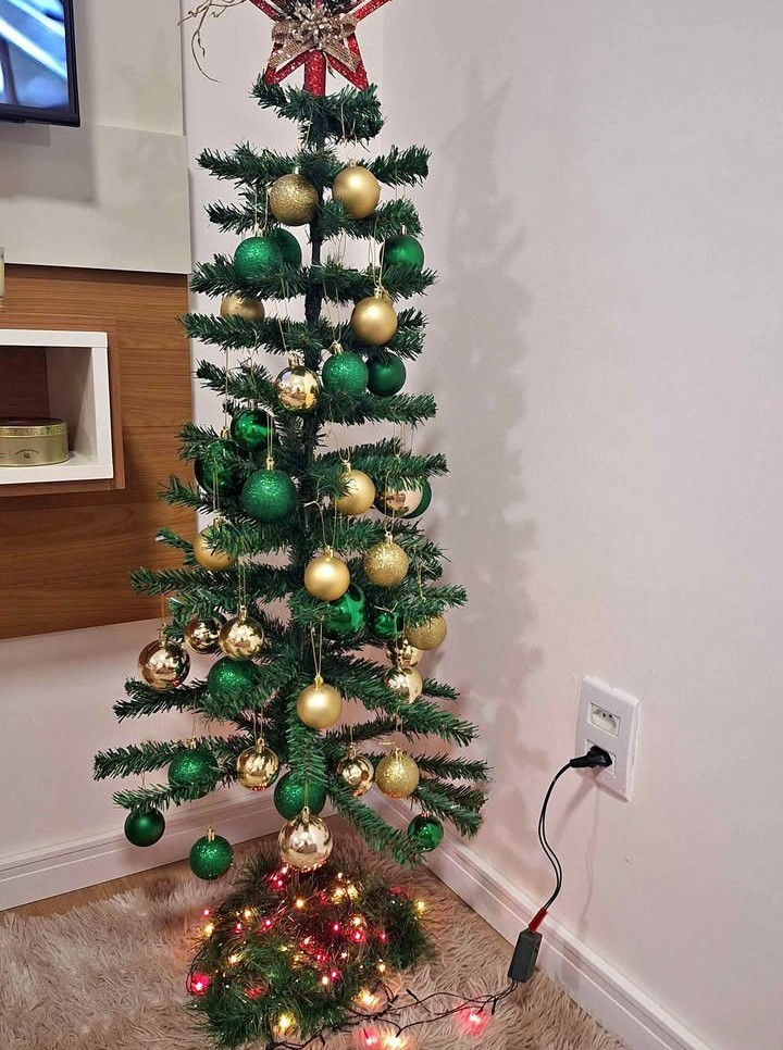 Alguém com uma árvore de natal para doar
