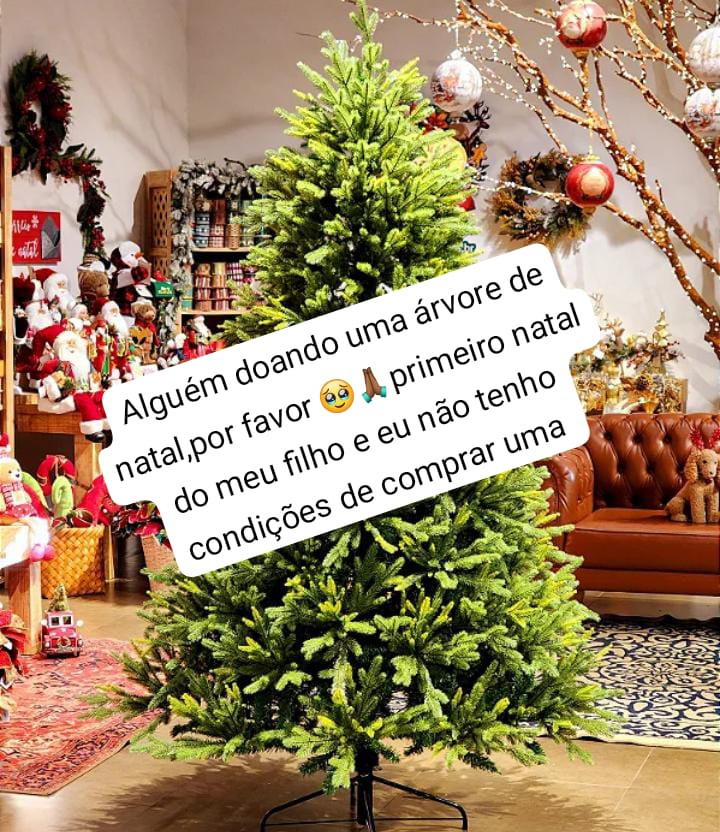 Árvore de natal 