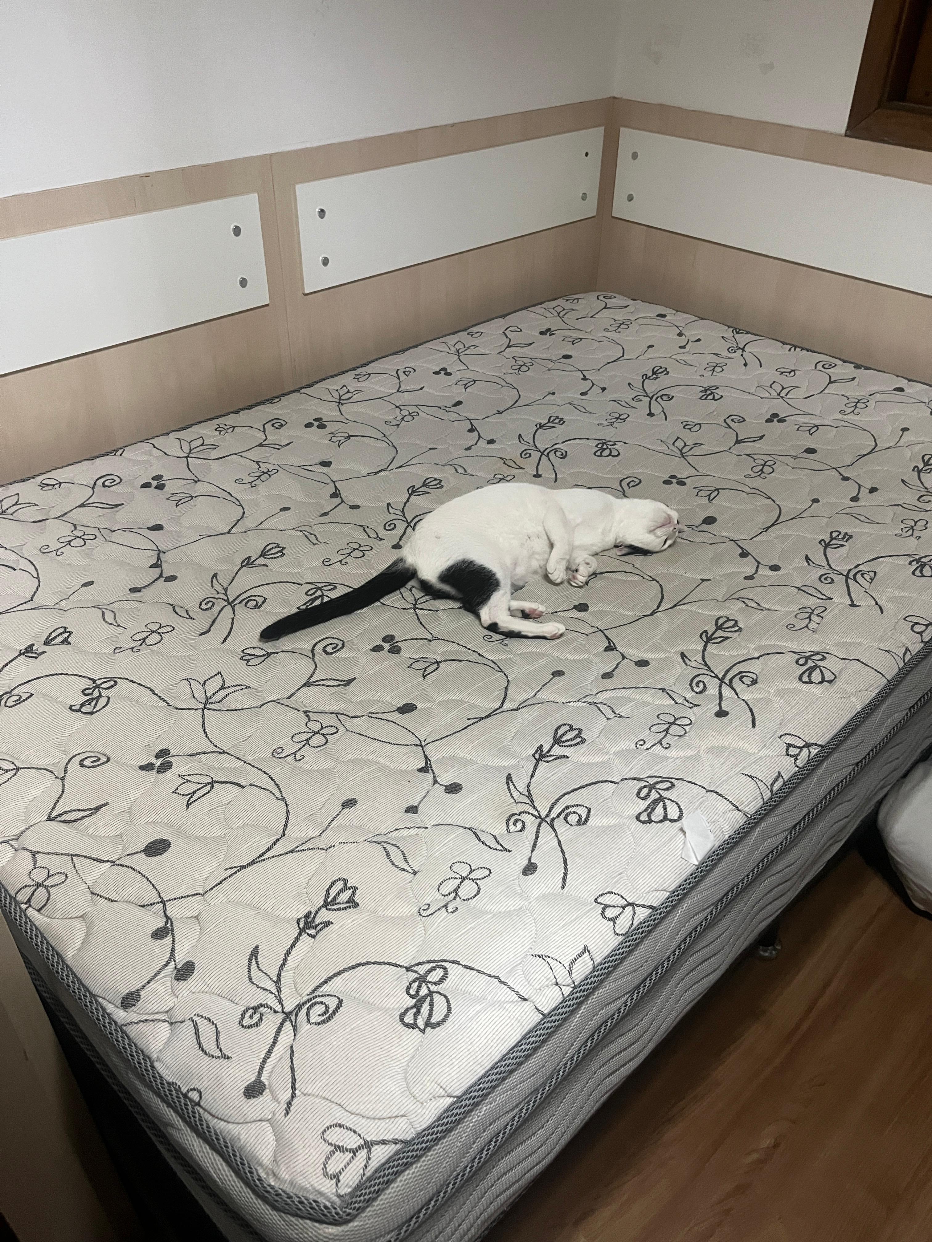 Doa-se Cama de Casal com Colchão 